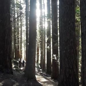 Meet your Posher, Ross